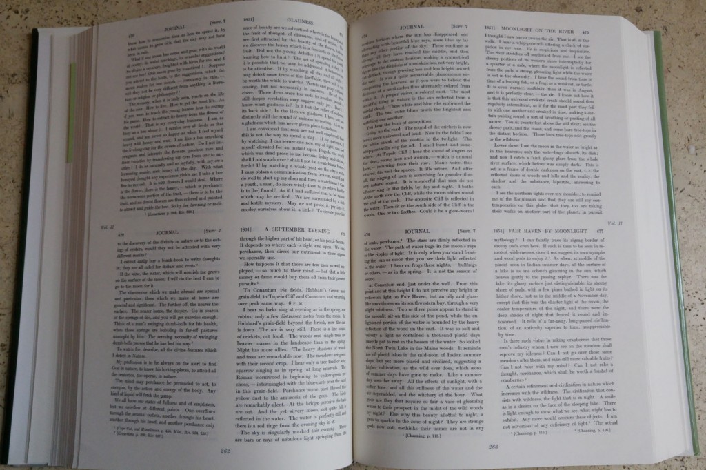 Die Textmenge musste trotz der 1750 Druckseiten beider Bänder sehr klein wiedergegeben werden.